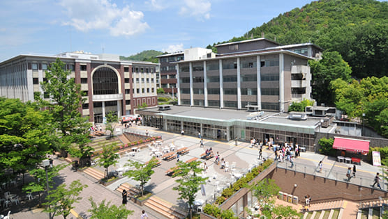 해외 대학 이미지 37